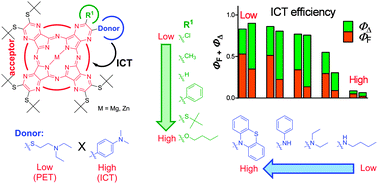 Graphical abstract: Structural factors influencing the intramolecular charge transfer and photoinduced electron transfer in tetrapyrazinoporphyrazines