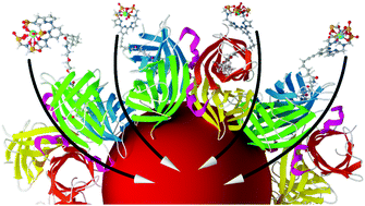 Graphical abstract: Photophysical evaluation of a new functional terbium complex in FRET-based time-resolved homogenous fluoroassays