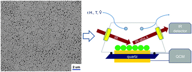 Graphical abstract: Study of water adsorption and capillary bridge formation for SiO2 nanoparticle layers by means of a combined in situ FT-IR reflection spectroscopy and QCM-D set-up