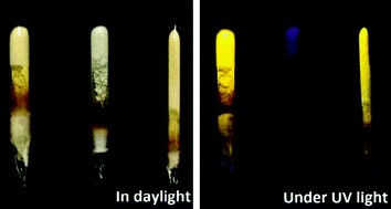 Graphical abstract: Bright yellow and green Eu(ii) luminescence and vibronic fine structures in LiSrH3, LiBaH3 and their corresponding deuterides