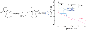 Graphical abstract: Proton tunnelling and promoting vibrations during the oxidation of ascorbate by ferricyanide?