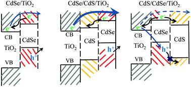 Graphical abstract: Photoexcited carrier dynamics of double-layered CdS/CdSe quantum dot sensitized solar cells measured by heterodyne transient grating and transient absorption methods