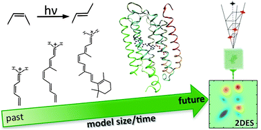 Graphical abstract: Modelling retinal chromophores photoisomerization: from minimal models in vacuo to ultimate bidimensional spectroscopy in rhodopsins