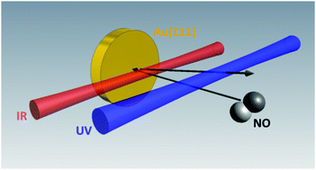 Graphical abstract: Incidence energy dependent state-to-state time-of-flight measurements of NO(v = 3) collisions with Au(111): the fate of incidence vibrational and translational energy