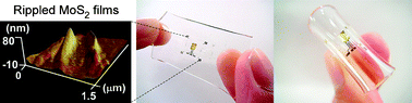 Graphical abstract: Flexible and stretchable thin-film transistors based on molybdenum disulphide