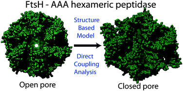 Graphical abstract: From structure to function: the convergence of structure based models and co-evolutionary information