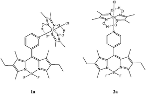 Graphical abstract: A photo- and electrochemical investigation of BODIPY–cobaloxime complexes for hydrogen production, coupled with quantum chemical calculations