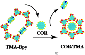 Graphical abstract: A dynamic study of the structural change in the binary network in response to guest inclusion
