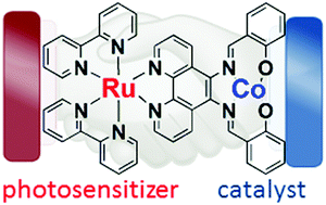 Graphical abstract: A Co(ii)–Ru(ii) dyad relevant to light-driven water oxidation catalysis