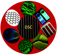 Graphical abstract: On global energy scenario, dye-sensitized solar cells and the promise of nanotechnology