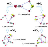 Graphical abstract: Complexes containing CO2 and SO2. Mixed dimers, trimers and tetramers