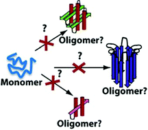 Graphical abstract: Insights into protein misfolding and amyloidogenesis