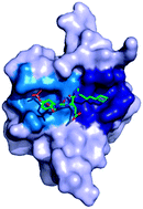 Graphical abstract: Progress towards the development of SH2 domain inhibitors