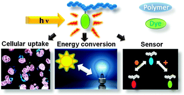 Graphical abstract: Fluorescent monomers as building blocks for dye labeled polymers: synthesis and application in energy conversion, biolabeling and sensors