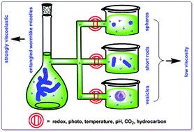 Graphical abstract: Smart wormlike micelles