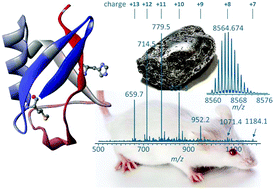 Graphical abstract: Application of mass spectrometric techniques to delineate the modes-of-action of anticancer metallodrugs