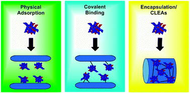 Graphical abstract: Immobilization of enzymes on porous silicas – benefits and challenges