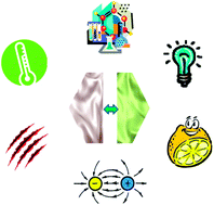 Graphical abstract: Stimuli-responsive polymer films