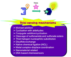 Graphical abstract: Recent progress in luminescent and colorimetric chemosensors for detection of thiols