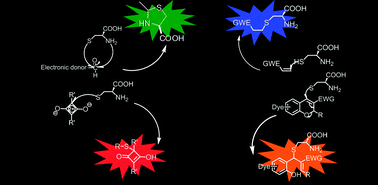 Graphical abstract: Thiol-addition reactions and their applications in thiol recognition