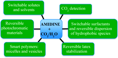 Graphical abstract: Amidine functionality as a stimulus-responsive building block