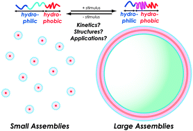 Graphical abstract: Shape-changing polymer assemblies