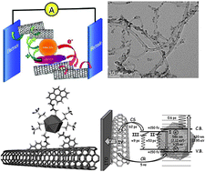 Graphical abstract: Carbon nanotube-based heterostructures for solar energy applications