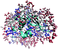 Graphical abstract: Biomolecular hydration dynamics: a jump model perspective