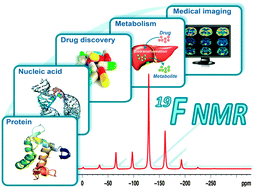 Graphical abstract: 19F NMR: a valuable tool for studying biological events