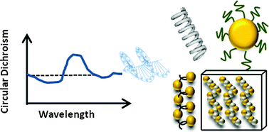 Graphical abstract: Chirality and chiroptical effects in inorganic nanocrystal systems with plasmon and exciton resonances