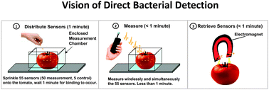 Graphical abstract: Biosensor technology: recent advances in threat agent detection and medicine