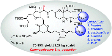 Graphical abstract: Recent advances in the chemoselective reduction of functional groups mediated by samarium(ii) iodide: a single electron transfer approach