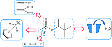 Graphical abstract: Supramolecular chemistry and chemical warfare agents: from fundamentals of recognition to catalysis and sensing