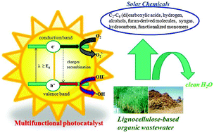 Graphical abstract: Heterogeneous photocatalytic nanomaterials: prospects and challenges in selective transformations of biomass-derived compounds