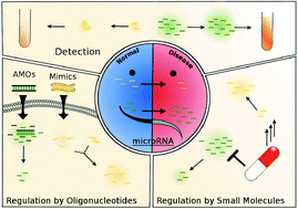 Graphical abstract: MicroRNAs as novel biological targets for detection and regulation
