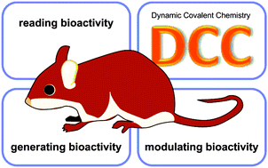 Graphical abstract: Dynamic combinatorial/covalent chemistry: a tool to read, generate and modulate the bioactivity of compounds and compound mixtures