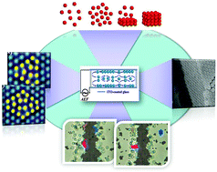 Graphical abstract: Experimental modelling of single-particle dynamic processes in crystallization by controlled colloidal assembly