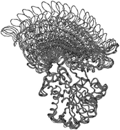 Graphical abstract: A theoretical view of protein dynamics