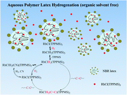 Graphical abstract: Hydrogenation of acrylonitrile–butadiene copolymer latex using water-soluble rhodium catalysts