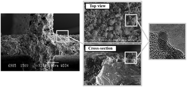 Graphical abstract: Total oxidation of naphthalene at low temperatures using palladium nanoparticles supported on inorganic oxide-coated cordierite honeycomb monoliths