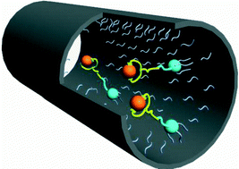 Graphical abstract: Preparation and application of coconut shell activated carbon immobilized palladium complexes