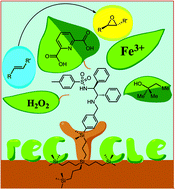 Graphical abstract: Molecularly enlarged S,S-BnTsDPEN ligands for iron-catalyzed asymmetric olefin epoxidation reactions using hydrogen peroxide