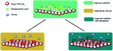 Graphical abstract: An insight into the kinetics and interface sensitivity for catalytic ozonation: the case of nano-sized NiFe2O4