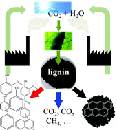 Graphical abstract: Selective deoxygenation of lignin during catalytic fast pyrolysis