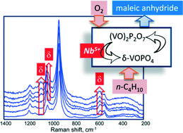 Graphical abstract: An investigation on surface reactivity of Nb-doped vanadyl pyrophosphate catalysts by reactivity experiments and in situ Raman spectroscopy