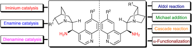 Graphical abstract: Asymmetric organocatalysis mediated by primary amines derived from cinchona alkaloids: recent advances