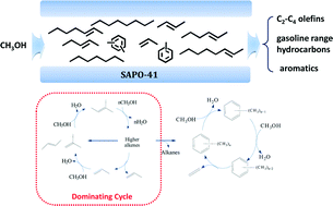 Graphical abstract: Verifying the dominant catalytic cycle of the methanol-to-hydrocarbon conversion over SAPO-41