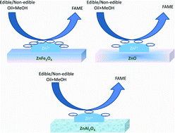 Graphical abstract: The role of surface Zn2+ ions in the transesterification of vegetable oils over ZnO supported on Al2O3 and Fe2O3