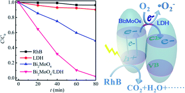 Graphical abstract: Synthesis, characterization and enhanced visible light photocatalytic activity of Bi2MoO6/Zn–Al layered double hydroxide hierarchical heterostructures