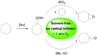 Graphical abstract: Tuning the selectivity of a supported gold catalyst in solvent- and radical initiator-free aerobic oxidation of cyclohexene